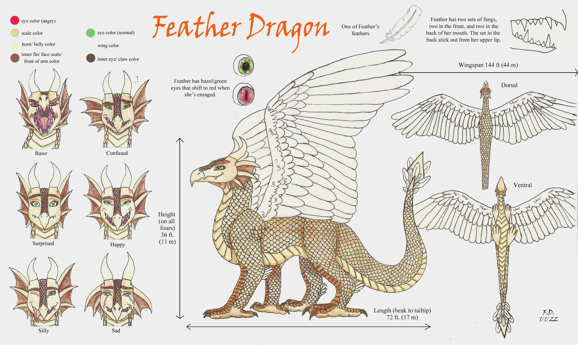 Feather Dragon Reference Sheet